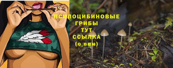 стафф Медвежьегорск