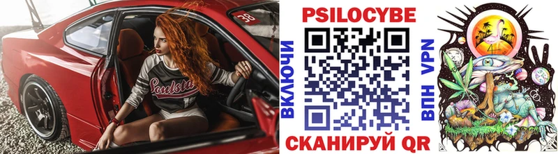 Галлюциногенные грибы Psilocybine cubensis  где можно купить   Мосальск 